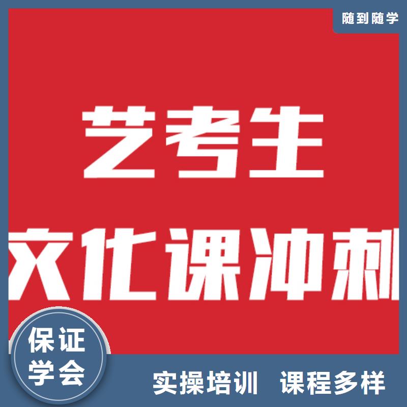 选哪个艺考生文化课补习学校当地公司