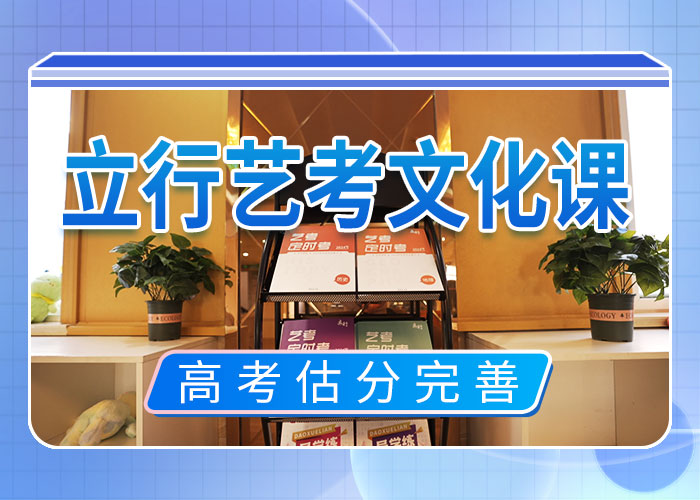 艺考文化课培训【高考小班教学】手把手教学