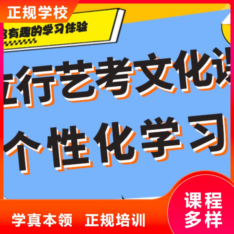 艺术生文化课培训学校有哪些全程实操