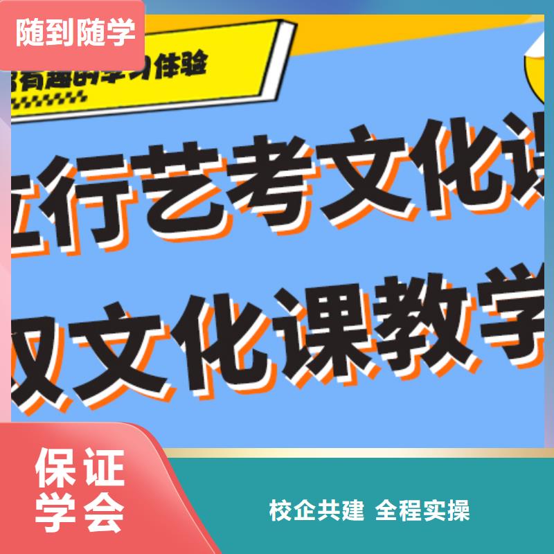 艺术生文化课补习学校一览表全程实操