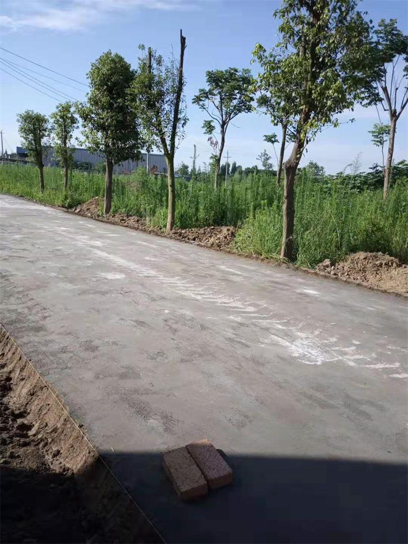 经验丰富的原生泰土壤固化剂销售厂家