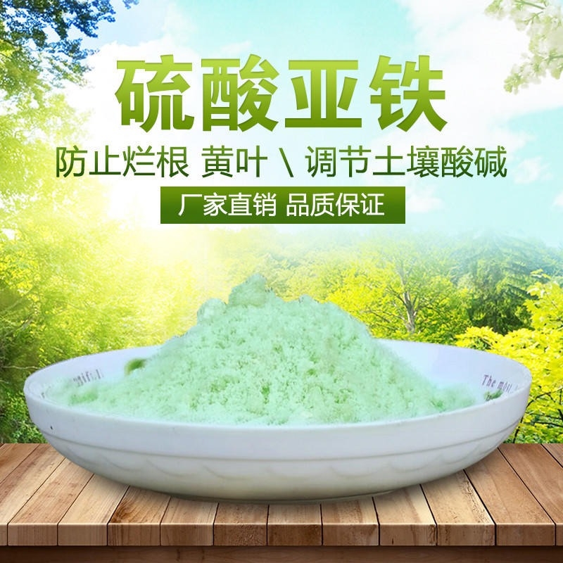 硫酸亚铁专业生产设备
