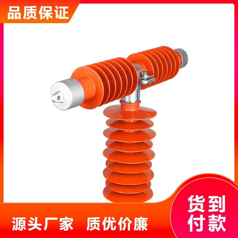 XRNP-24KV/1A高压保险做工细致