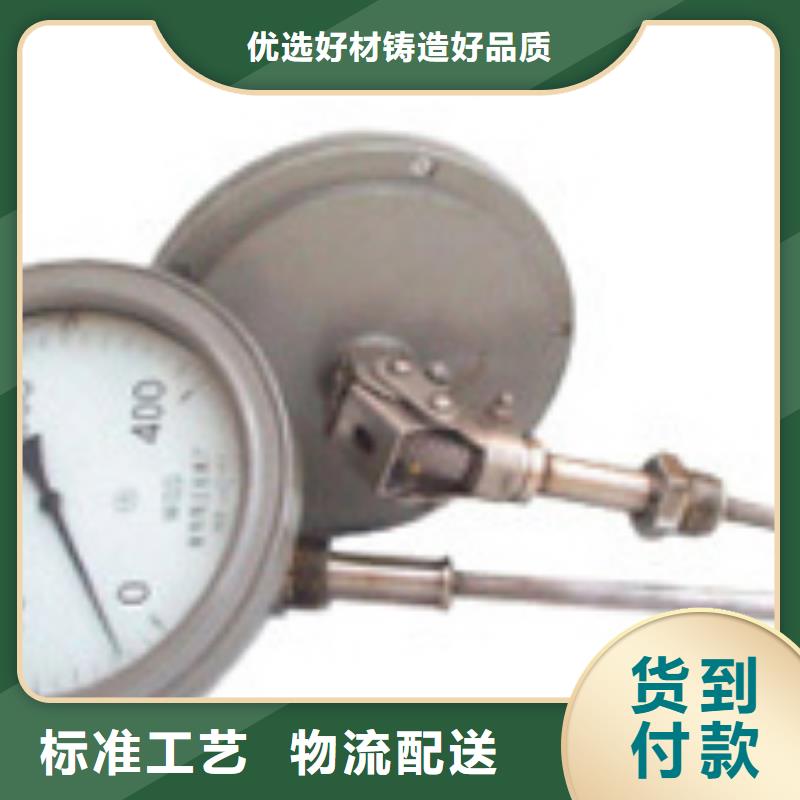 大庆WSSX-412径向型电接点双金属温度计报价