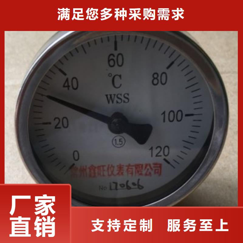 祁阳WSSXN-385万向型耐震电接点双金属温度计使用说明书