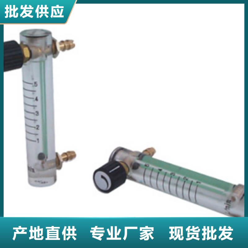 深圳DK800-2氧气玻璃管浮子流量计型号