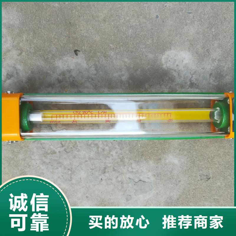 莱阳DK800-4玻璃转子流量计精度