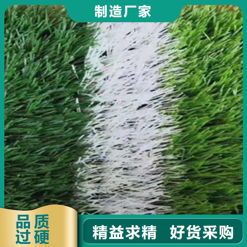 黑龙江省哈尔滨市人造草坪人工草皮