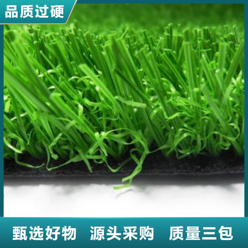 陕西省硅pu球场人造草坪