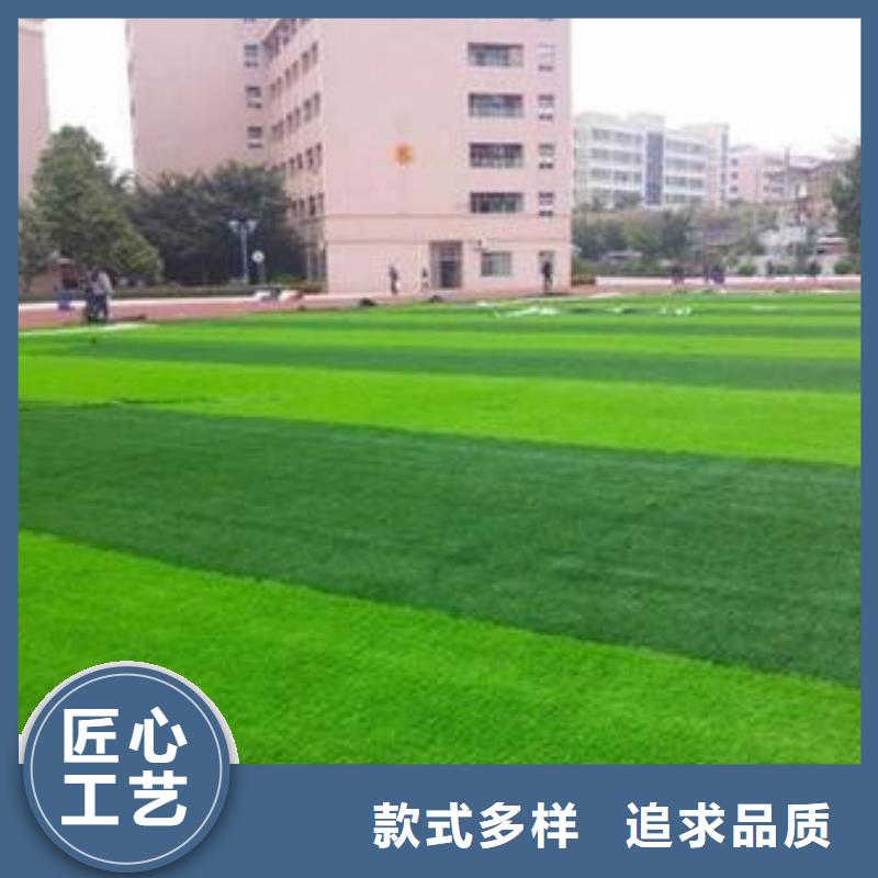 北京市人工草坪材料