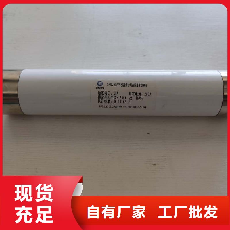 上海宝熔厂家直销供应XRNP-10KV