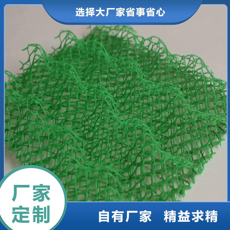 浙江三维植被网|三维土工网垫【三维植被网厂家