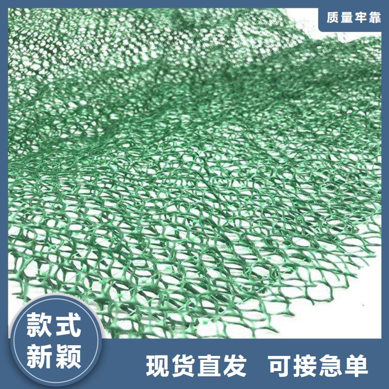 西宁三维植被网,三维复合排水网,HDPE防渗膜