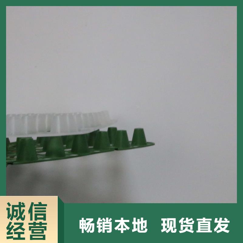 台州塑料排水板的施工工艺_排水板厂家直销_园林绿化排水板_河道排水板