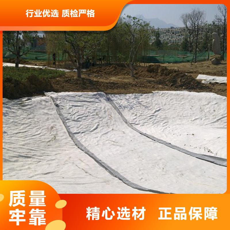 贵州防渗膨润土防水毯规格型号齐全-可定制