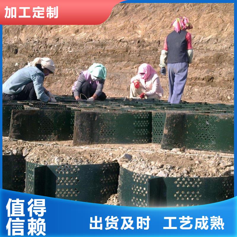 山东淄博护坡防水土工格室用途广泛-质优价廉