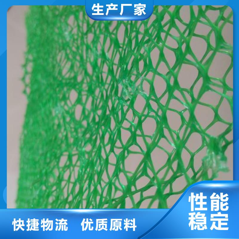 各种规格、各种厚度的三维植被网同城经销商