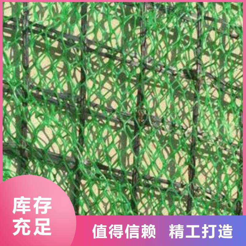 贵阳厂家批发护坡绿化用em3三维植被网植草塑料三维植被网em4施工