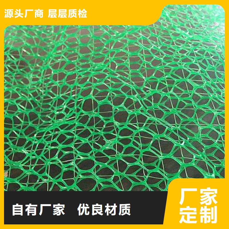 台湾厂家批发三维植被网|现货