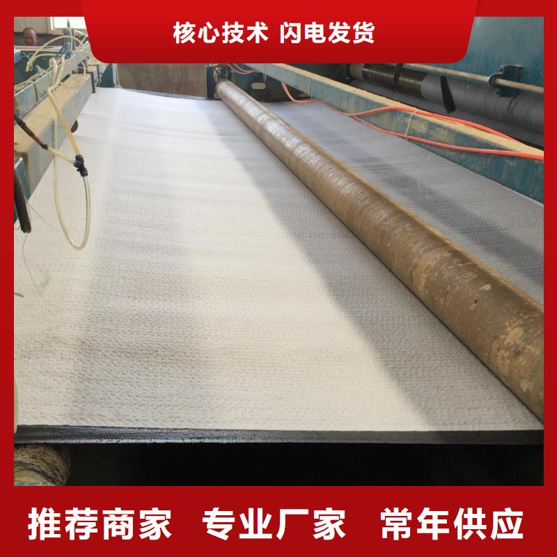 潮州专业膨润土防水毯生产厂家-