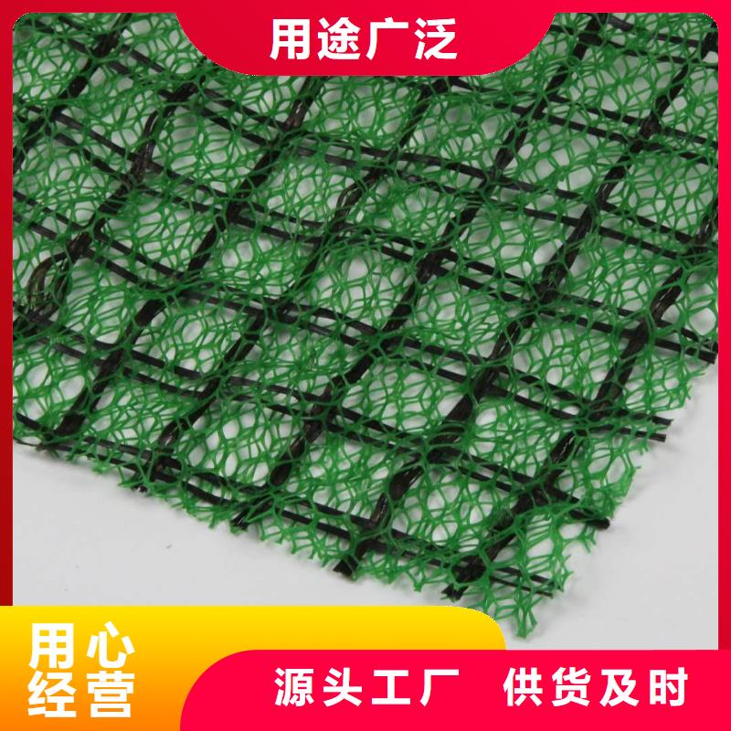 牡丹江三维植被网|三维网垫植草护坡|三维土工网垫厂家选山东亿路通