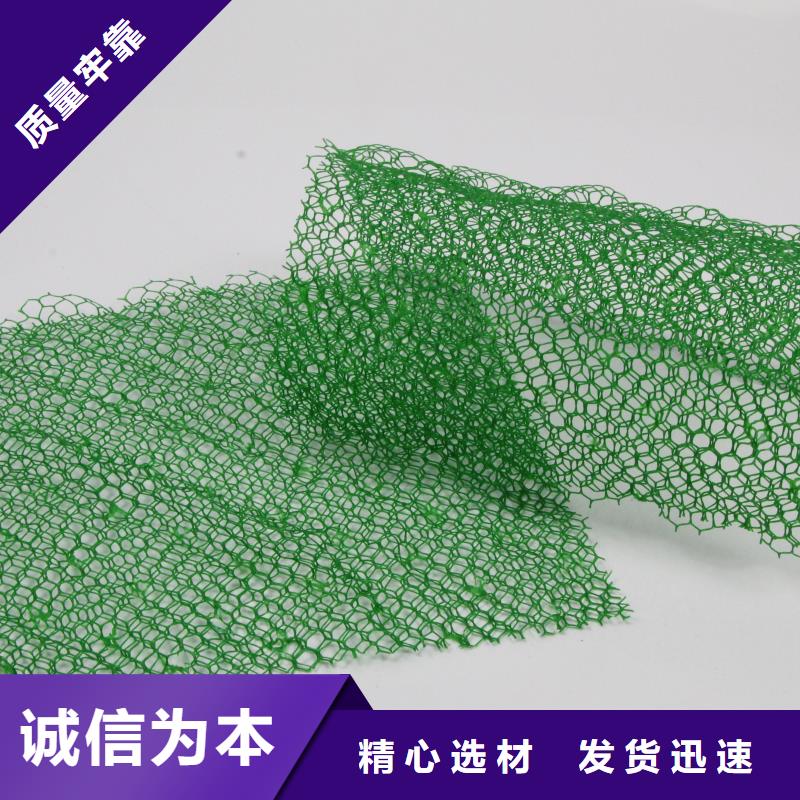 金昌三维植被网施工图片-可定制生产