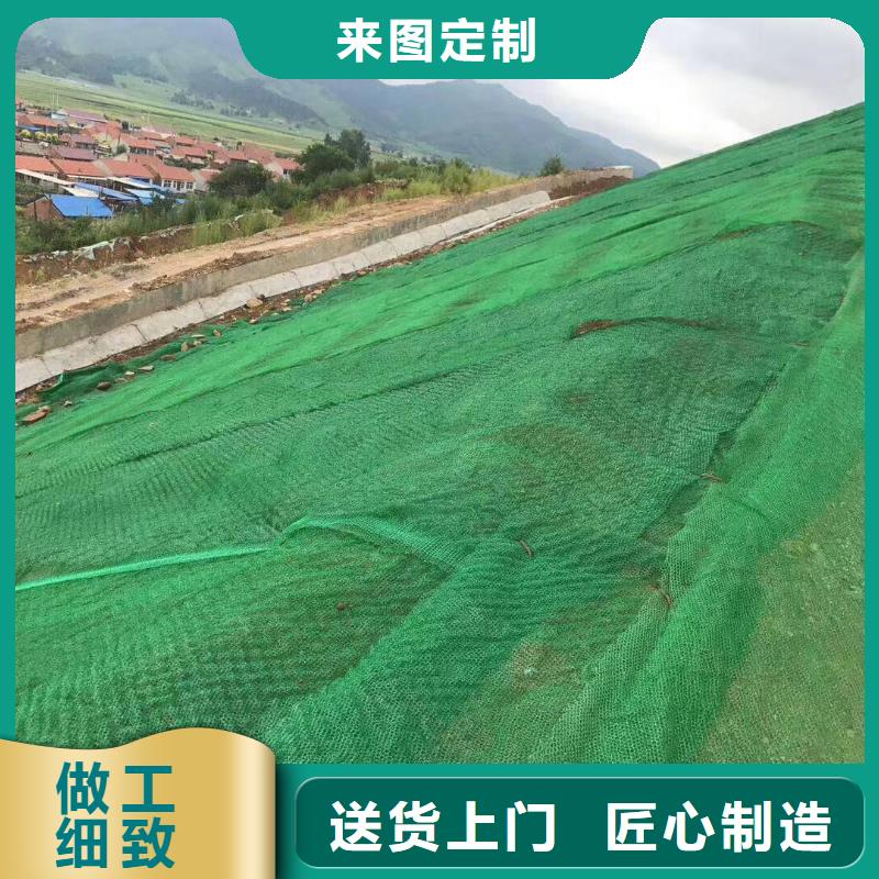 柳州三维植被网施工图片-可定制生产