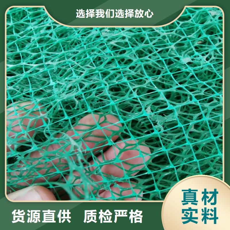 三明三维植被网|三维土工网垫【三维植被网厂家】