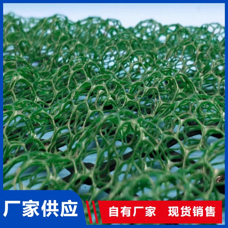 澄迈县三维植被网施工图片-可定制生产