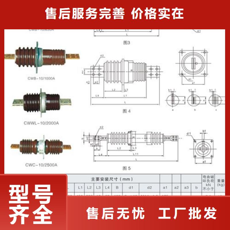 宜春CWB-40.5/2500高压套管