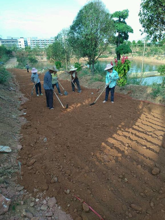土壤固化剂颍上土壤固化固化土施工案例西安土壤固化剂