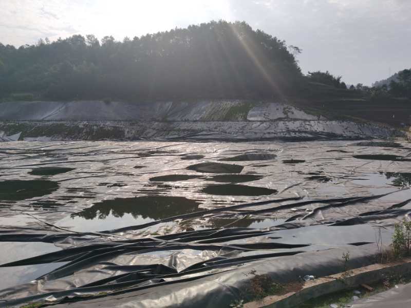 《肇庆》生产土壤修复河湖泊黑臭蓝藻污染水体处种类齐全