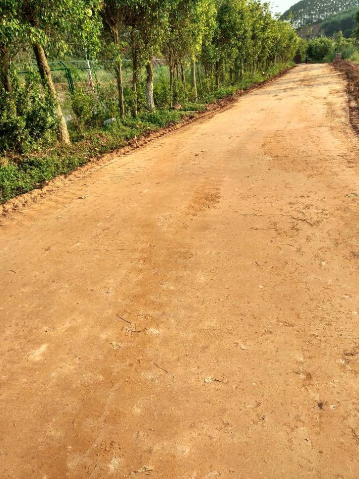 土壤固化污泥处理红安临时道路重载道路查看