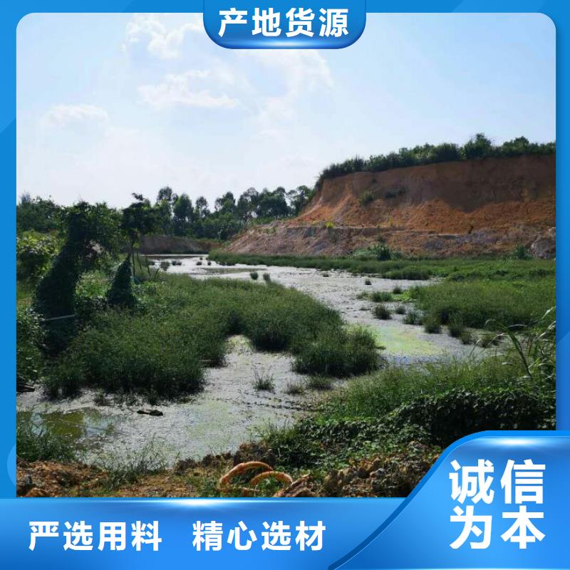 河道淤泥原位固化处理文峰土壤固化剂详细解读