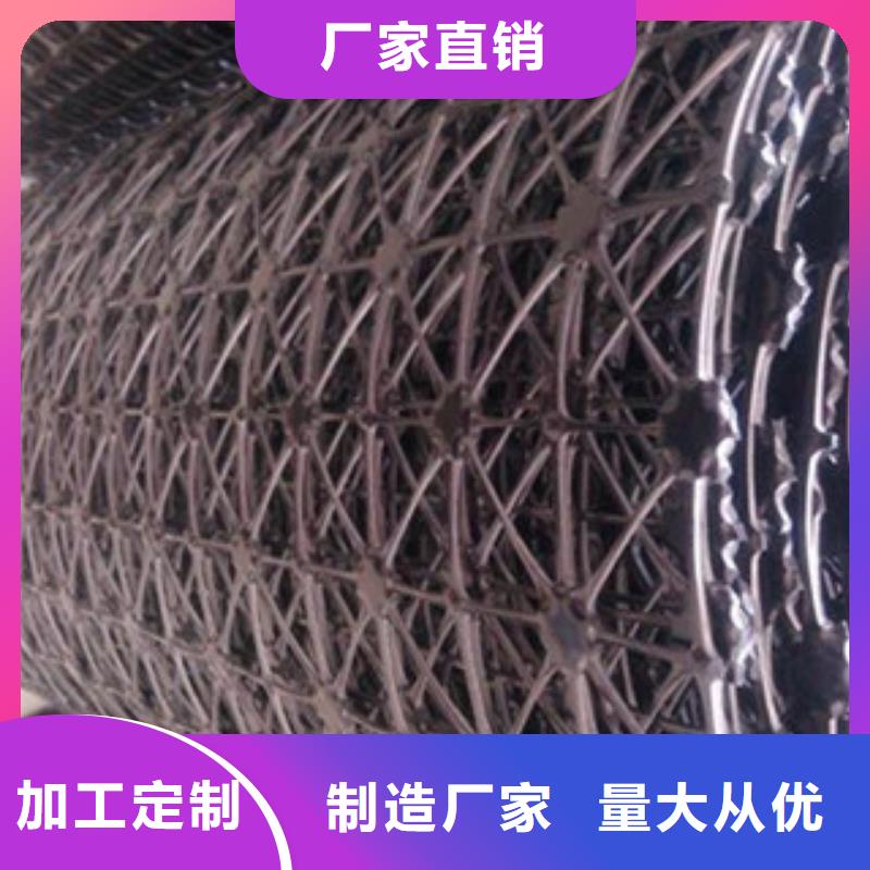 临川GSZ50-50钢塑土工格栅厂家厂家