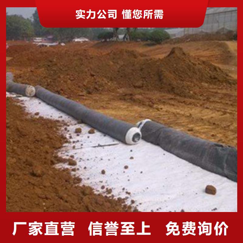 广安钠基膨润土防水毯价格预防人或物破坏