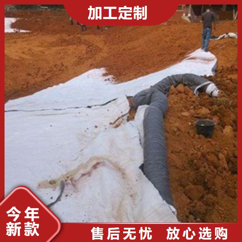 蒸湘钠基膨润土防水毯价格保护措施