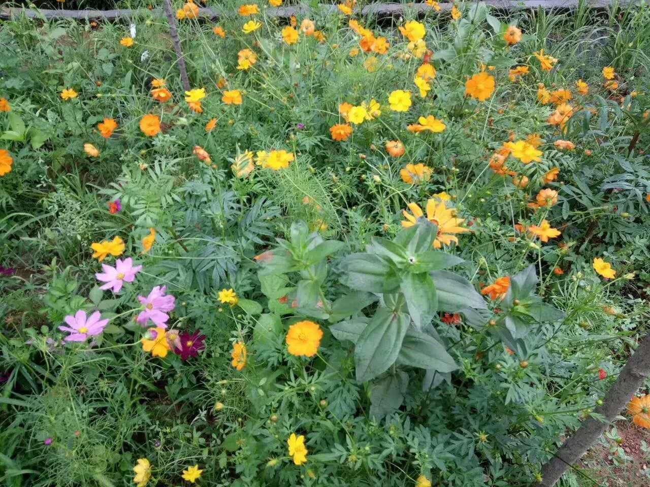 173千瓦客土护坡种草机护坡种草机