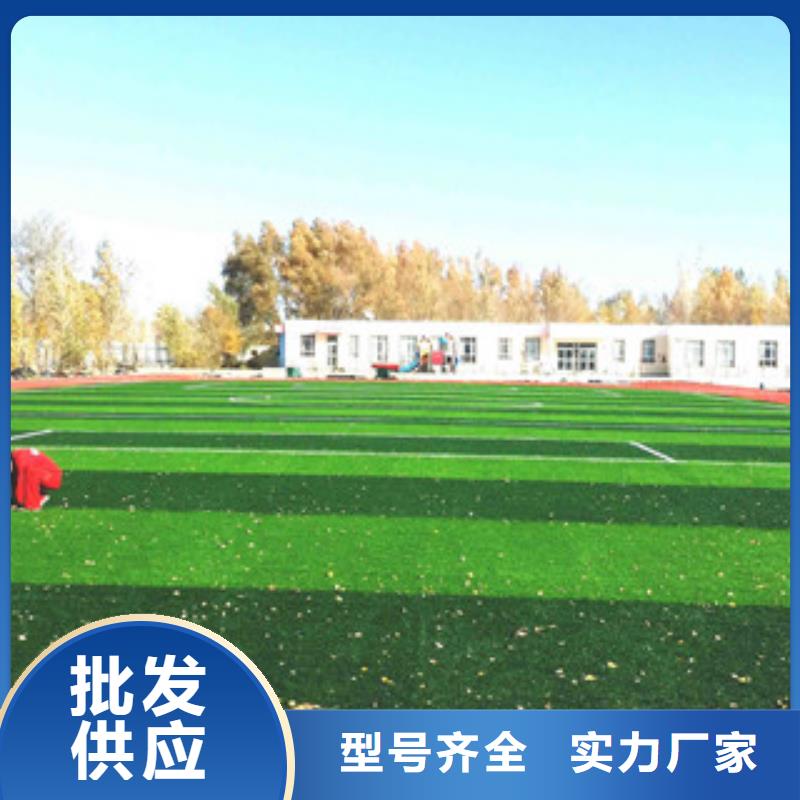 邯郸幼儿园人造草坪每平米价格
