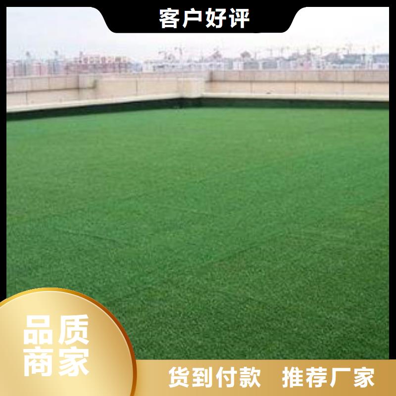 汉中体育场人造草坪厂家