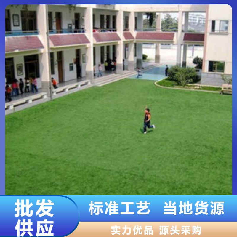 甘肃幼儿园人造草坪多少钱每平米