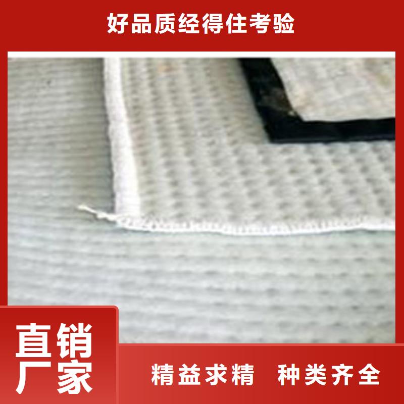 衡东废渣尾矿层状防水毯环保绿化专用现货供应