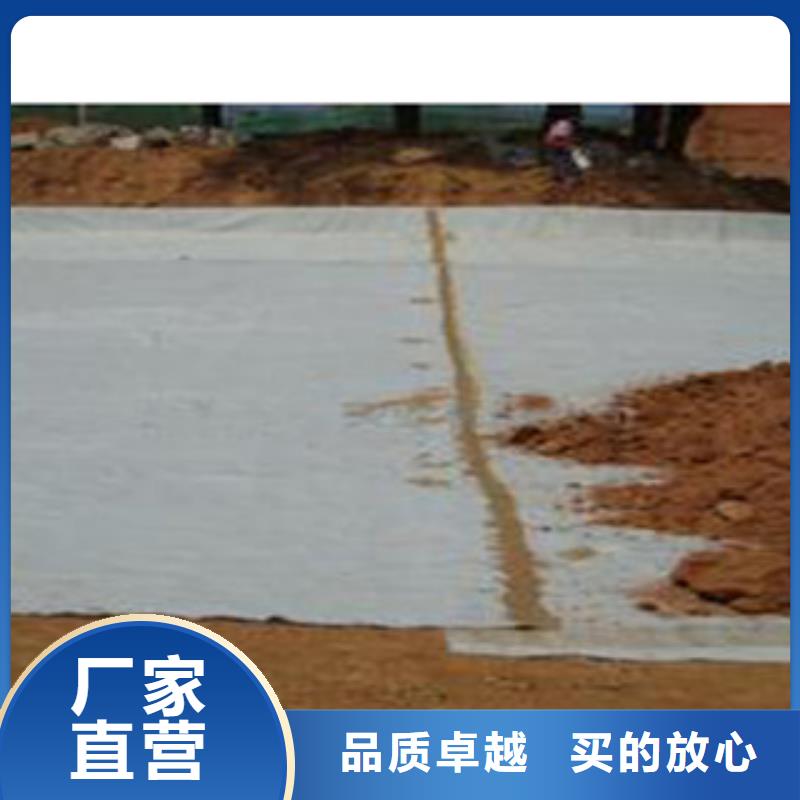国标美标膨润土防水毯长治水渠建设厂家常年供应