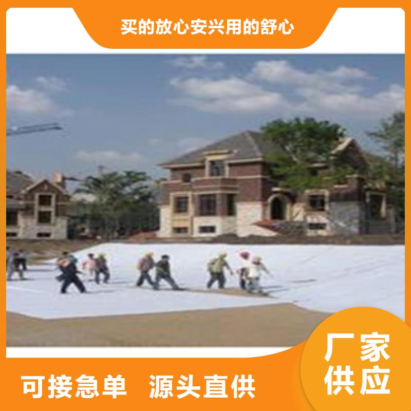 4500g防水毯温江环保垃圾填埋厂家常年供应