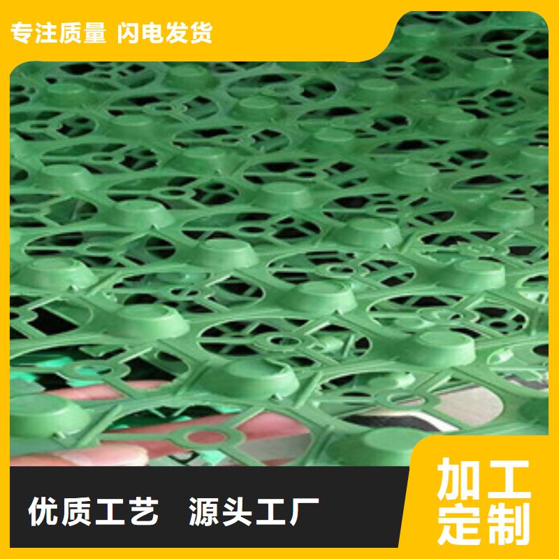 包工包料直销种植排水垫网屋顶滤水板凤庆