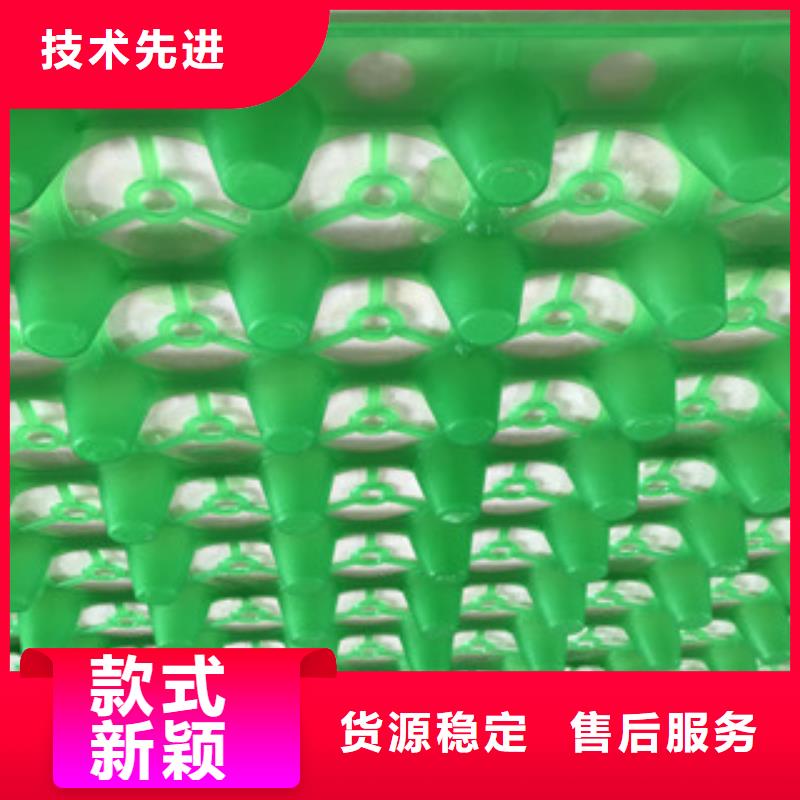 包工包料直销HDPE绿化疏水板地下室蓄广州